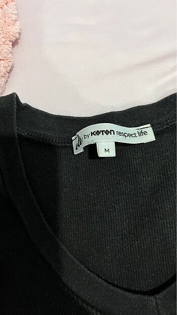 Koton V yaka crop