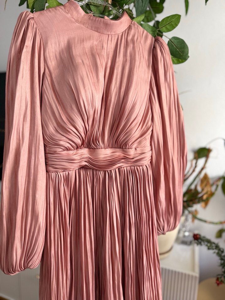 Pudra Pileli Uzun Abiye Elbise - Görsel 2