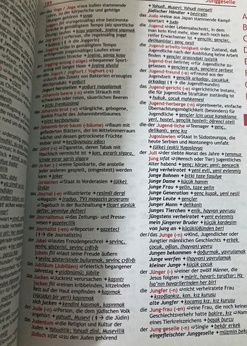 DaF Spezial Almanca-Türkçe Sözlük A1-B2 - Görsel 2