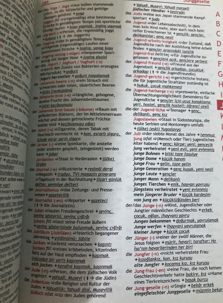 DaF Spezial Almanca-Türkçe Sözlük A1-B2 - Görsel 2