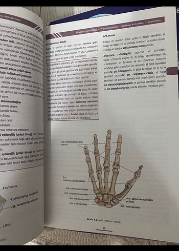 Beden Sağlık Bilimleri için Temel Anatomi Kitabı