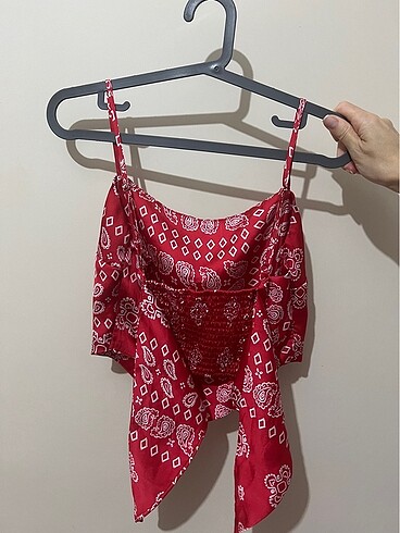 Stradivarius stradivarius crop