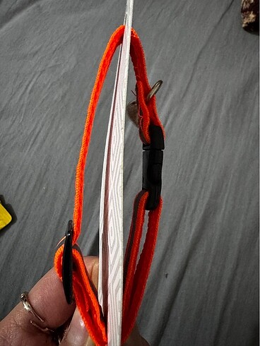 Turuncu çizgili kedi köpek tasma - Görsel 2