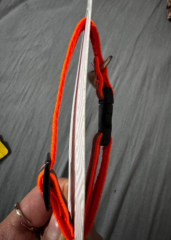 Turuncu çizgili kedi köpek tasma - Görsel 2