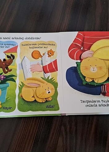 Beden Renk Eolo tavsanlar ne sever kitap