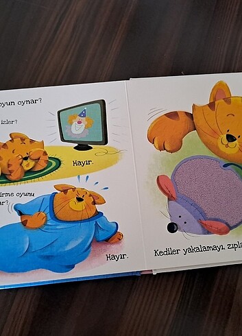 Beden Renk Eolo kediler ne sever