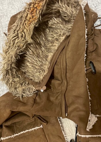 Kadife içi kürklü kaban - Görsel 3