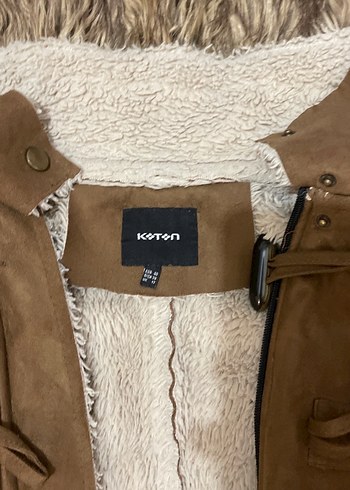 Kadife içi kürklü kaban - Görsel 2