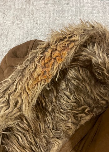 Kadife içi kürklü kaban - Görsel 4