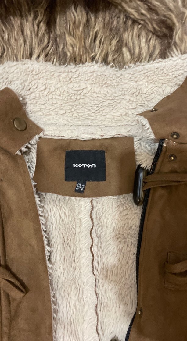 Kadife içi kürklü kaban - Görsel 2