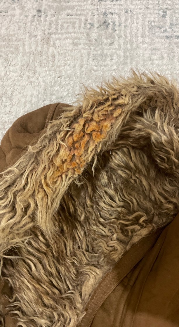 Kadife içi kürklü kaban - Görsel 4