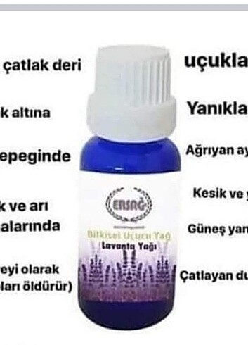 Diğer Ersağ lavanta yağı