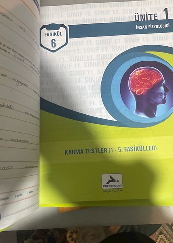 11. Sınıf Biyoloji Soru Kütüphanesi - PRF Yayınları - Görsel 8