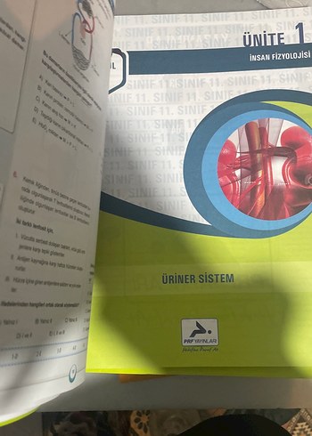 11. Sınıf Biyoloji Soru Kütüphanesi - PRF Yayınları - Görsel 5