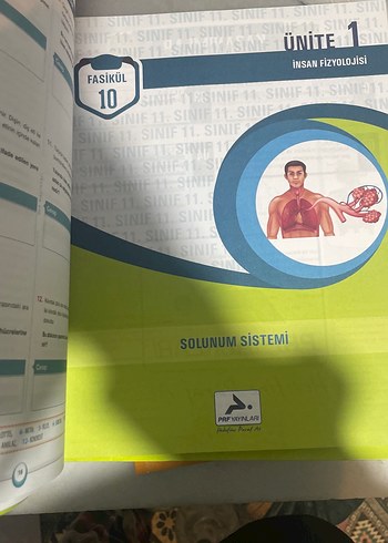 11. Sınıf Biyoloji Soru Kütüphanesi - PRF Yayınları - Görsel 7