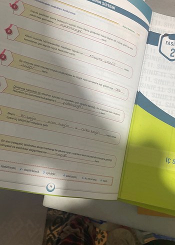 11. Sınıf Biyoloji Soru Kütüphanesi - PRF Yayınları - Görsel 3