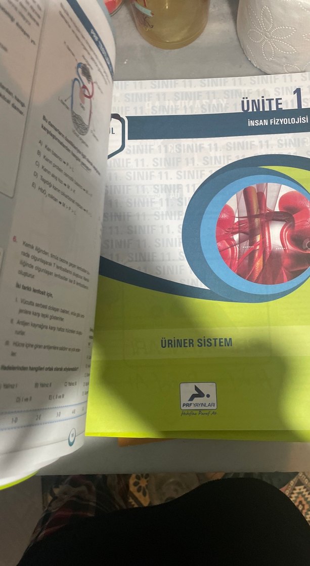 11. Sınıf Biyoloji Soru Kütüphanesi - PRF Yayınları - Görsel 5