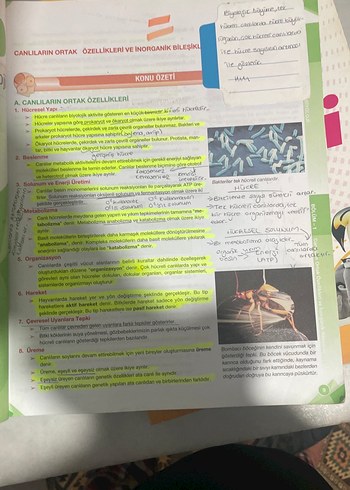 9. Sınıf Biyoloji Soru Kitabı Palme - Görsel 4