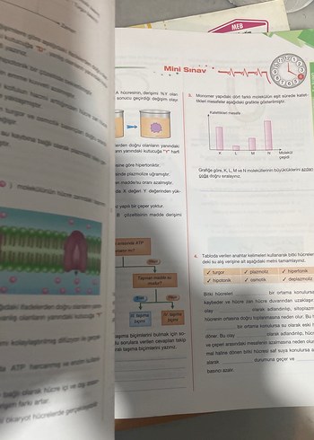 9. Sınıf Biyoloji Soru Kitabı Palme - Görsel 6