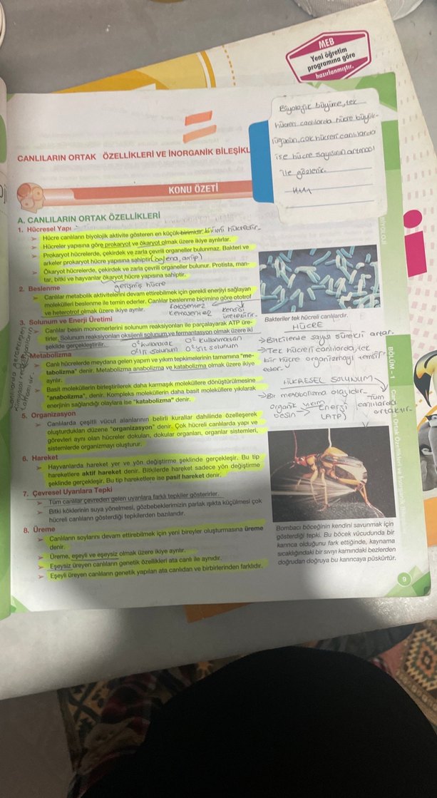 9. Sınıf Biyoloji Soru Kitabı Palme - Görsel 4