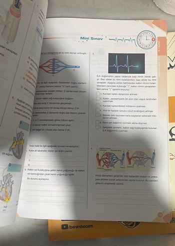 11. Sınıf Biyoloji Soru Kitabı - Görsel 3