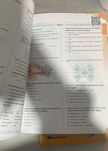 11. Sınıf Biyoloji Soru Kitabı - Görsel 5