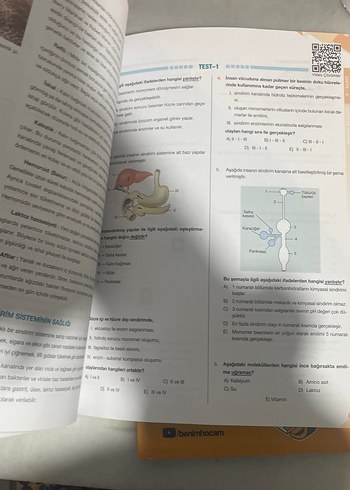11. Sınıf Biyoloji Soru Kitabı - Görsel 4