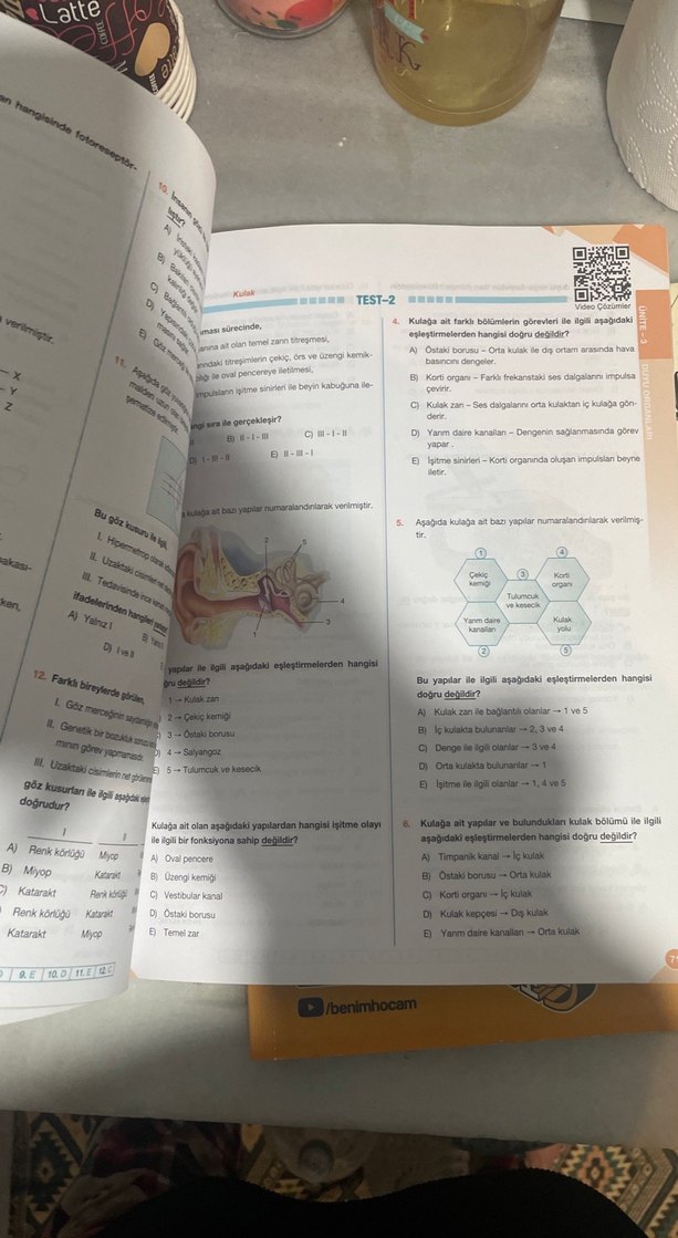 11. Sınıf Biyoloji Soru Kitabı - Görsel 5