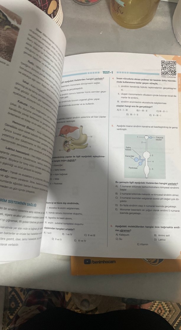 11. Sınıf Biyoloji Soru Kitabı - Görsel 4