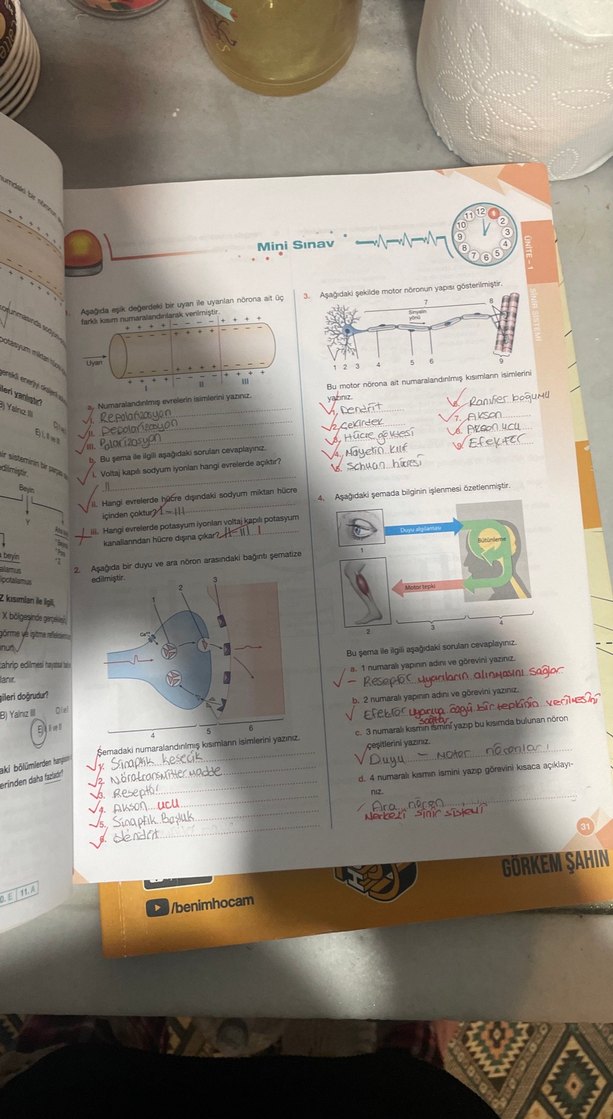 11. Sınıf Biyoloji Soru Kitabı - Görsel 2