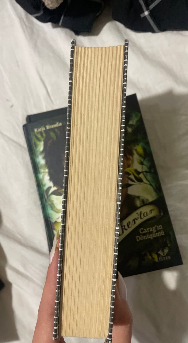 Son ve Ötesi - Patrick Ness - Görsel 3