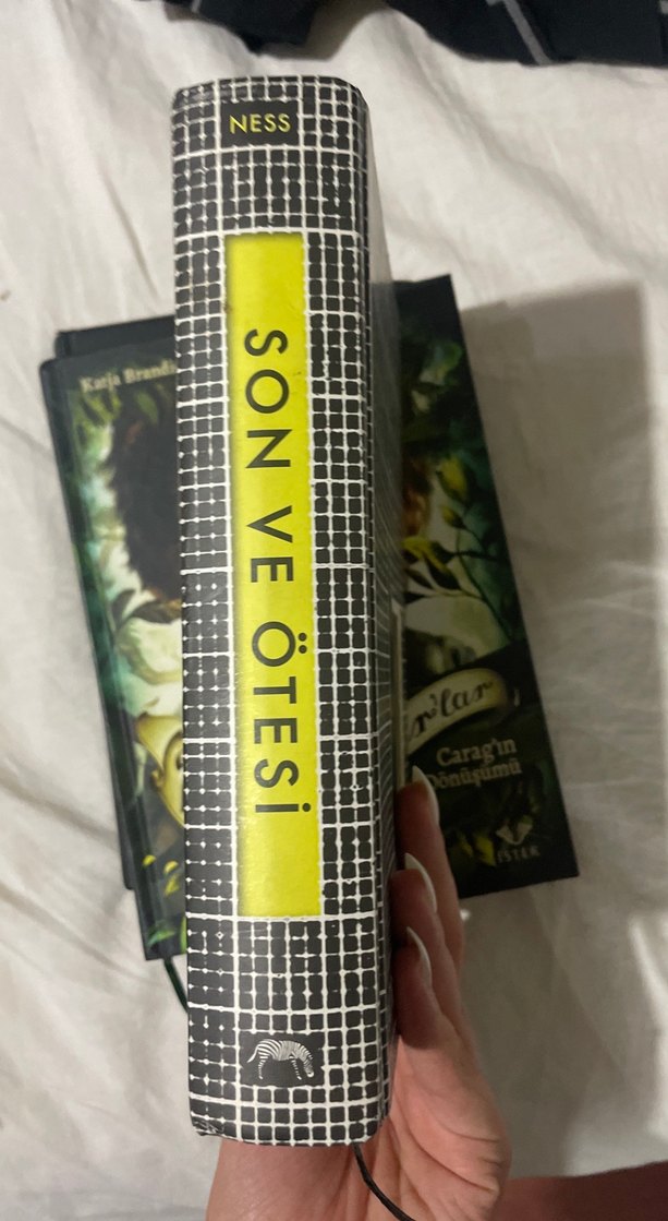 Son ve Ötesi - Patrick Ness - Görsel 4