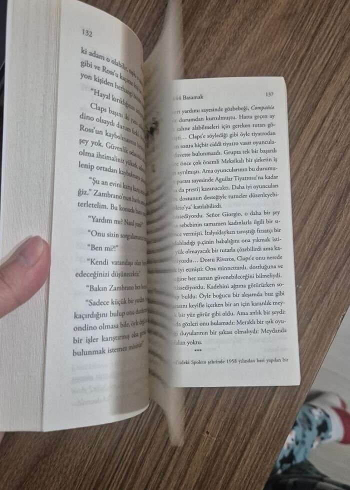 444 Basamak - Mario Mazzanti  - Görsel 2