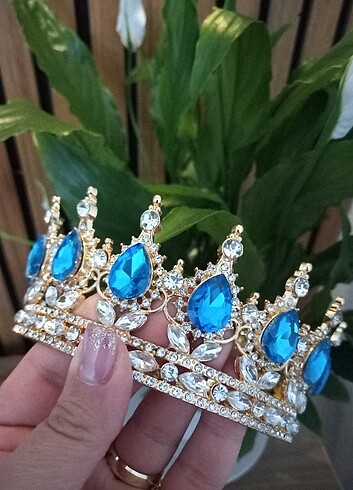 Mavi Taç - Görsel 3