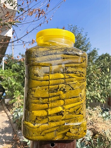 Tokat erbaa yapragi
