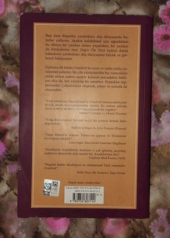 Yaşar Kemal Ortadirek - Dağın Öte Yüzü 1