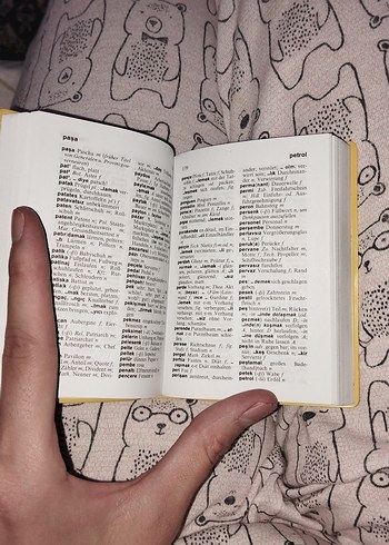 Langenscheidt Almanca-Türkçe Sözlük - Görsel 3