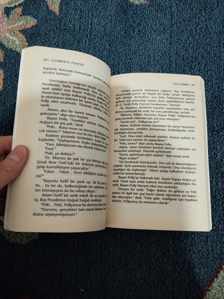 Pollyanna - Eleanor H. Porter - Görsel 3