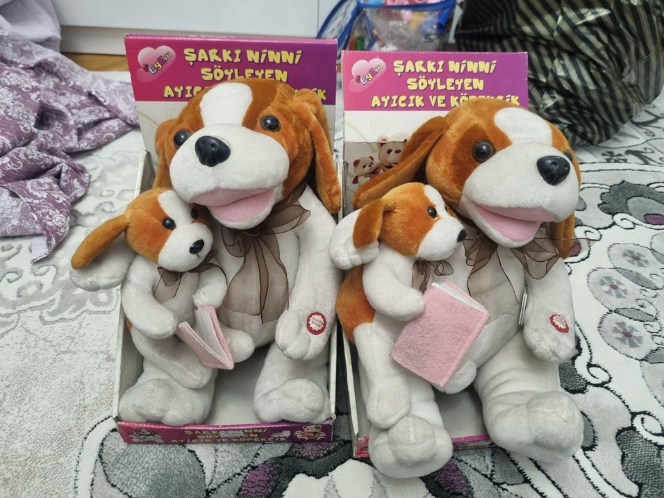 Şarkı Söyleyen Ayıcık ve Köpek Peluş Oyuncak - Görsel 3