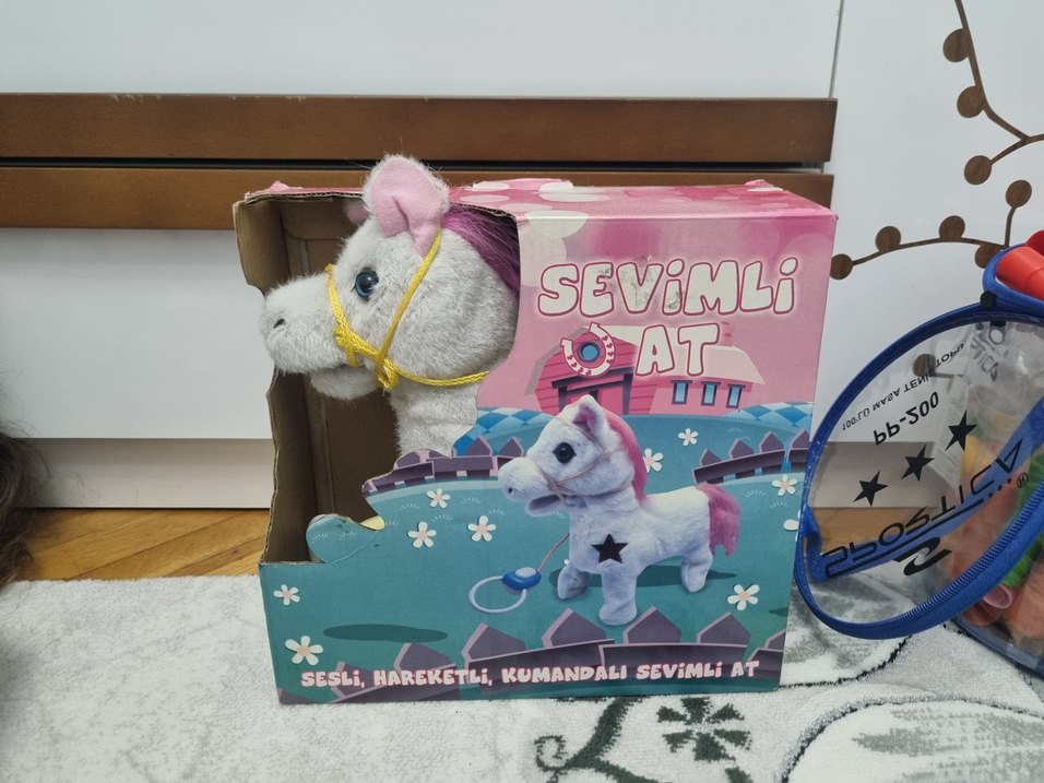 Şarkı Söyleyen Ayıcık ve Köpek Peluş Oyuncak - Görsel 4