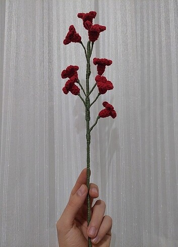 Örgü kırmızı müge çiçeği