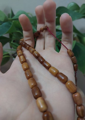 Halkalı Kuka - Görsel 2