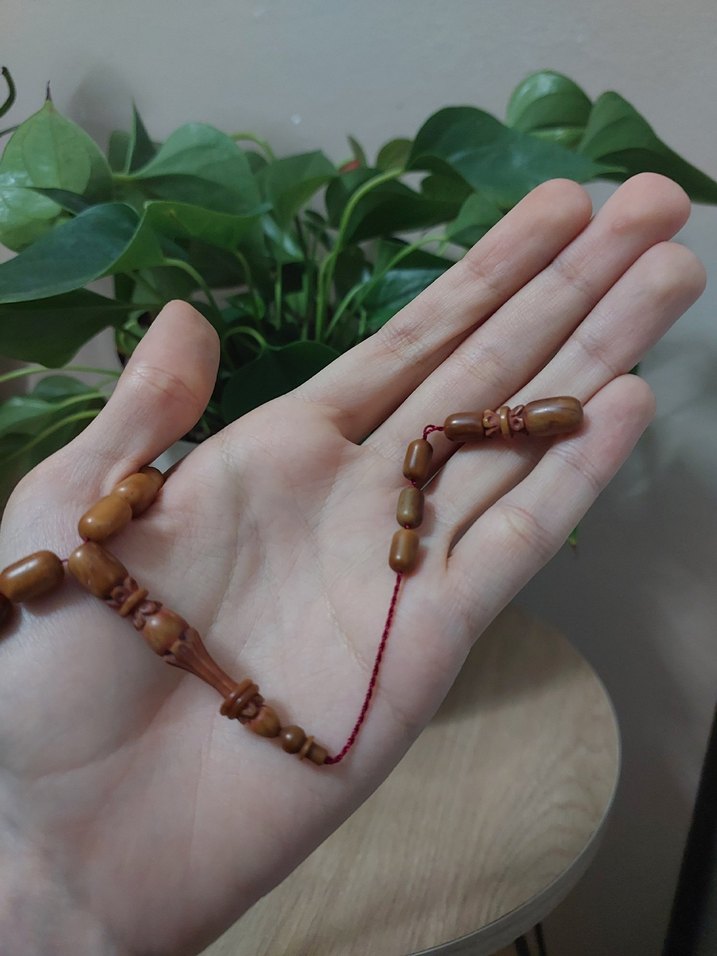 Halkalı Kuka - Görsel 3