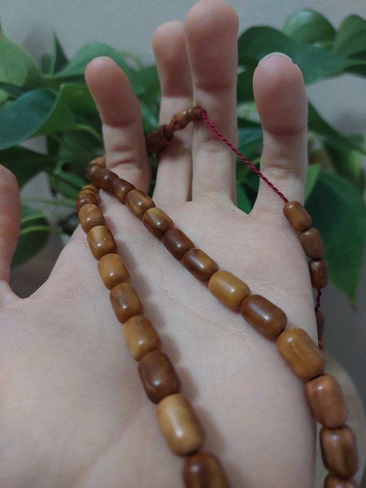 Halkalı Kuka - Görsel 2