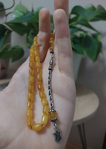 Kaliningrad Kaya Damla - Görsel 2