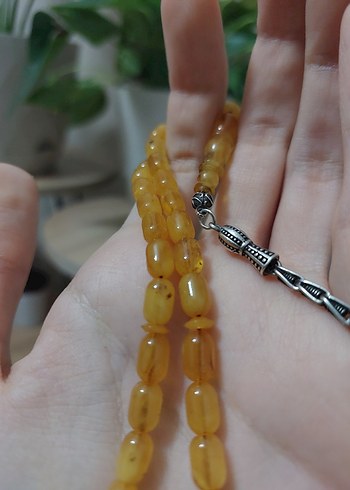 Kaliningrad Kaya Damla - Görsel 3