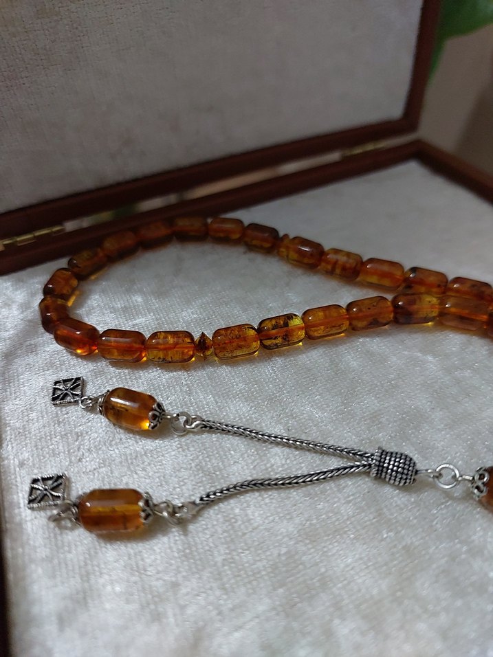 Hakiki Gümüş Fosil Damla - Görsel 3