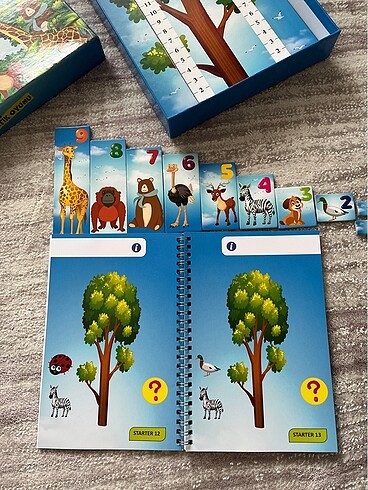 Beden Math Forest eğlenceli matematik oyunu