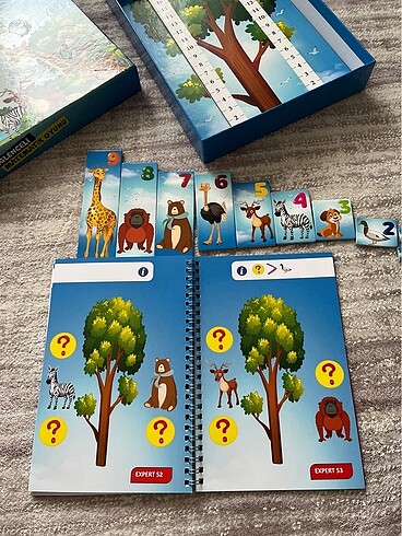 Beden Renk Math Forest eğlenceli matematik oyunu