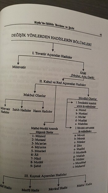 Beden Riyazus Salihin ve Şerhi Açıklaması 6 Cilt Takım